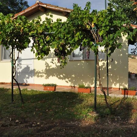 La Vite Sul Tetto Βίλα Agugliano Εξωτερικό φωτογραφία