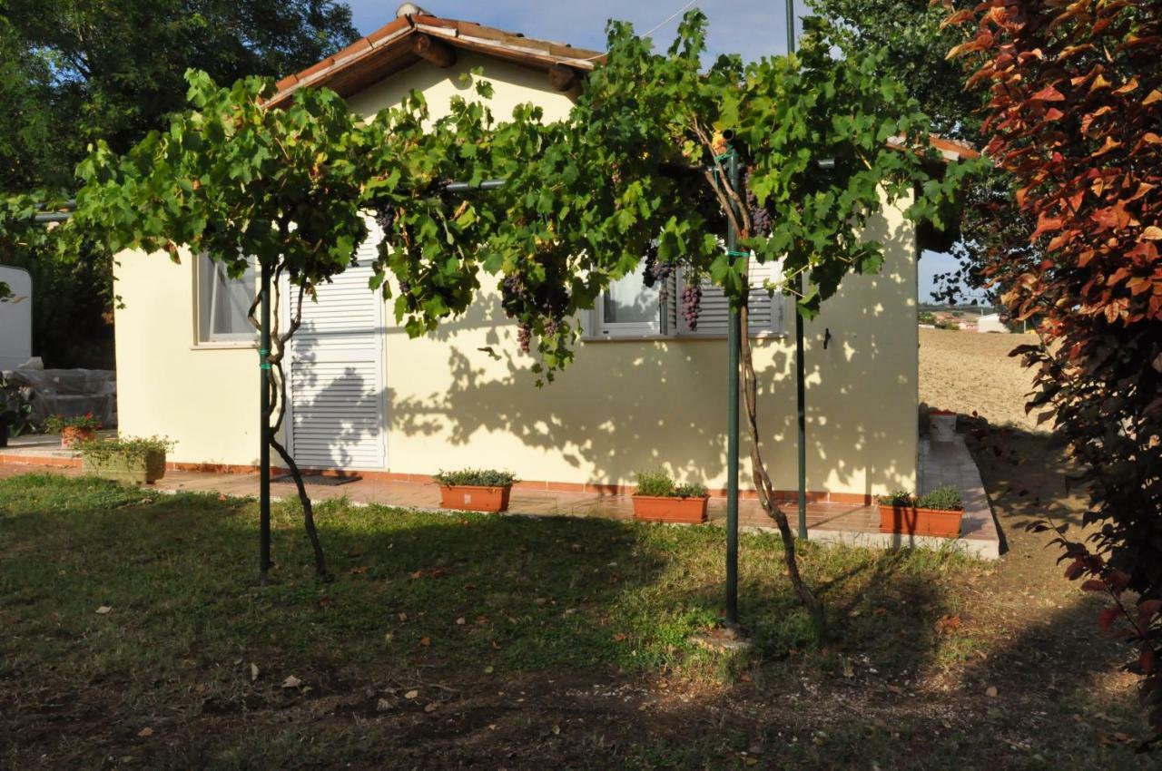 La Vite Sul Tetto Βίλα Agugliano Εξωτερικό φωτογραφία